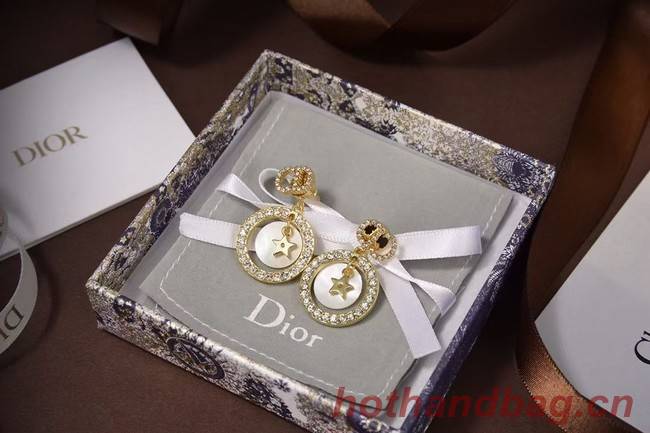 Dior Earrings CE5873