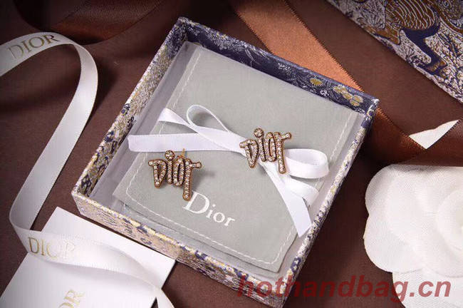 Dior Earrings CE5874