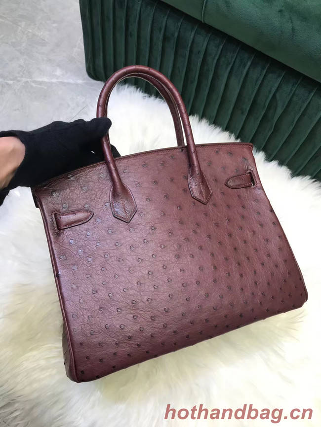 Hermes Birkin Bag Original Leather Ostrich skin HBK2530 Burgundy