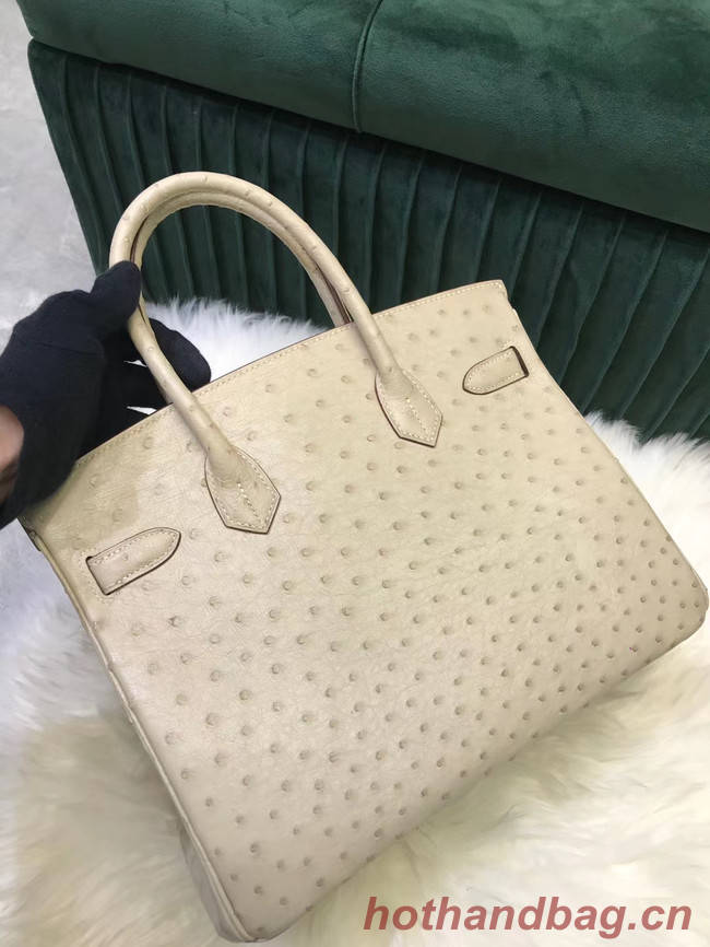 Hermes Birkin Bag Original Leather Ostrich skin HBK2530 cream