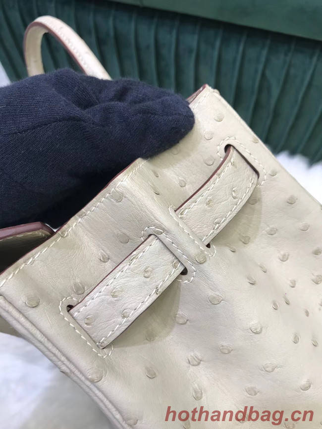 Hermes Birkin Bag Original Leather Ostrich skin HBK2530 cream