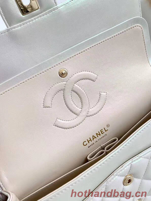 chanel flap bag Iridescent Calfskin&Gold-Tone AS1112