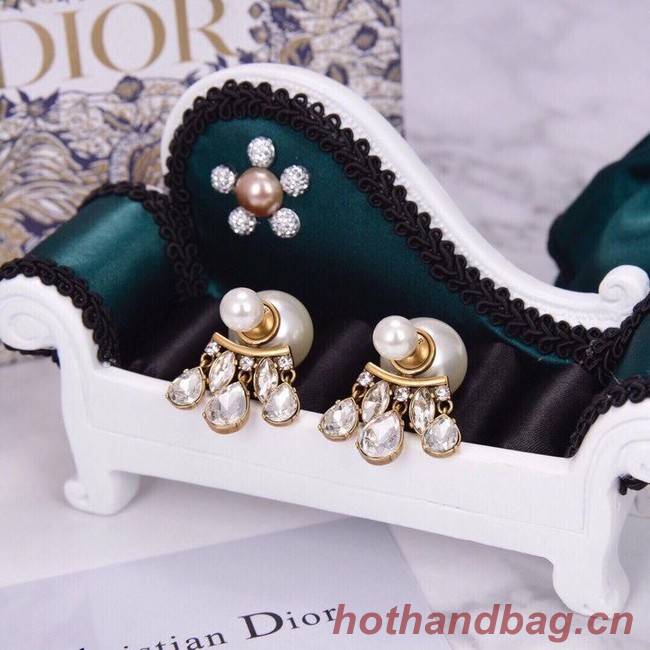 Dior Earrings CE6042