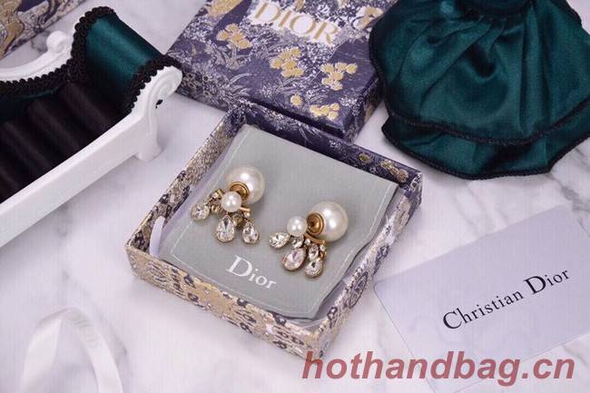 Dior Earrings CE6042