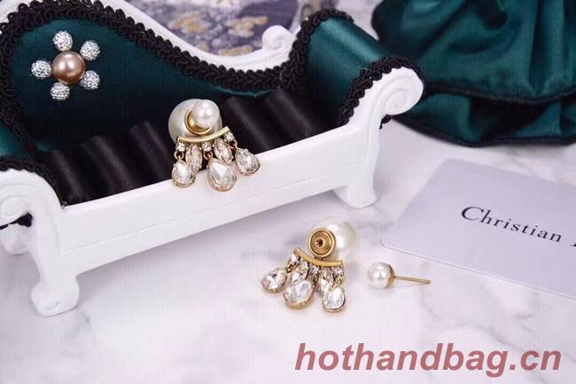 Dior Earrings CE6042