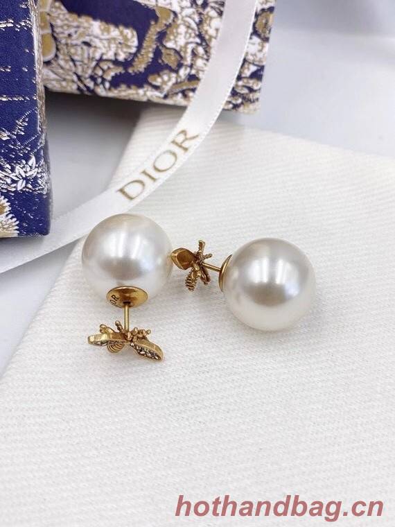 Dior Earrings CE6052