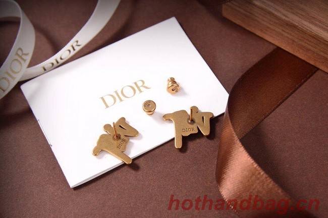 Dior Earrings CE6053