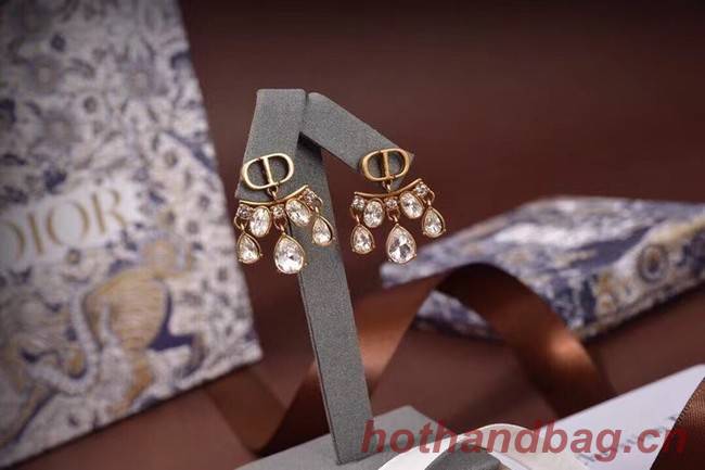 Dior Earrings CE6054