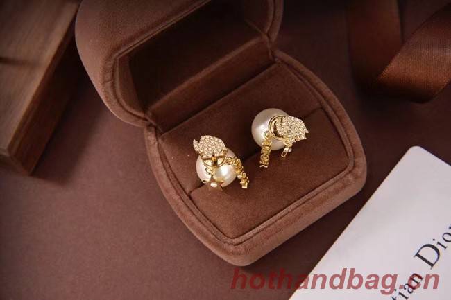 Dior Earrings CE6080