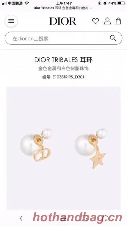 Dior Earrings CE6086