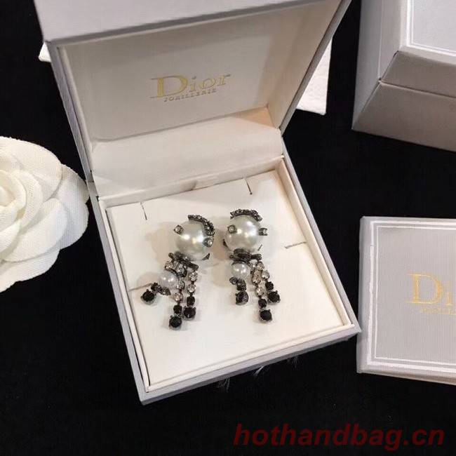 Dior Earrings CE6103