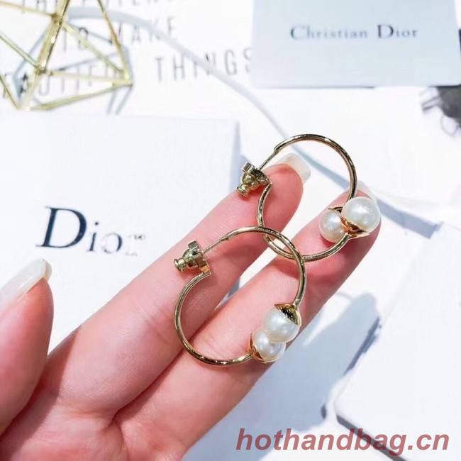 Dior Earrings CE6247