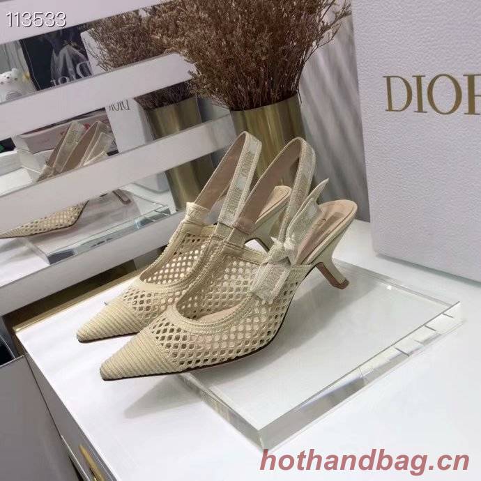 Dior Shoes Dior749DJC-5 6CM height