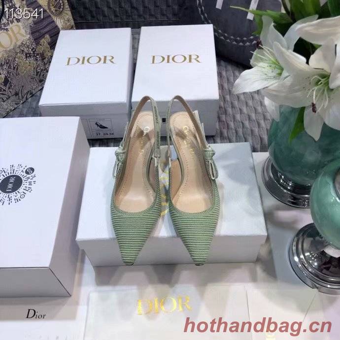 Dior Shoes Dior751DJC-3