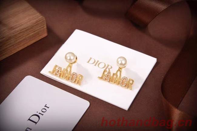 Dior Earrings CE6310