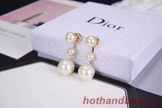 Dior Earrings CE6312