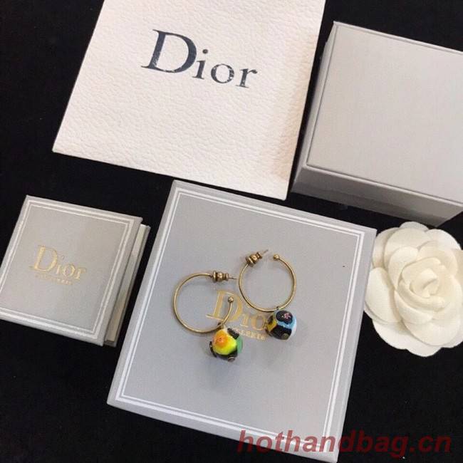 Dior Earrings CE6329