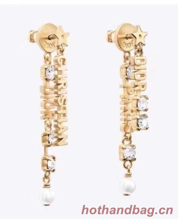 Dior Earrings CE6333