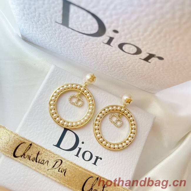 Dior Earrings CE6477