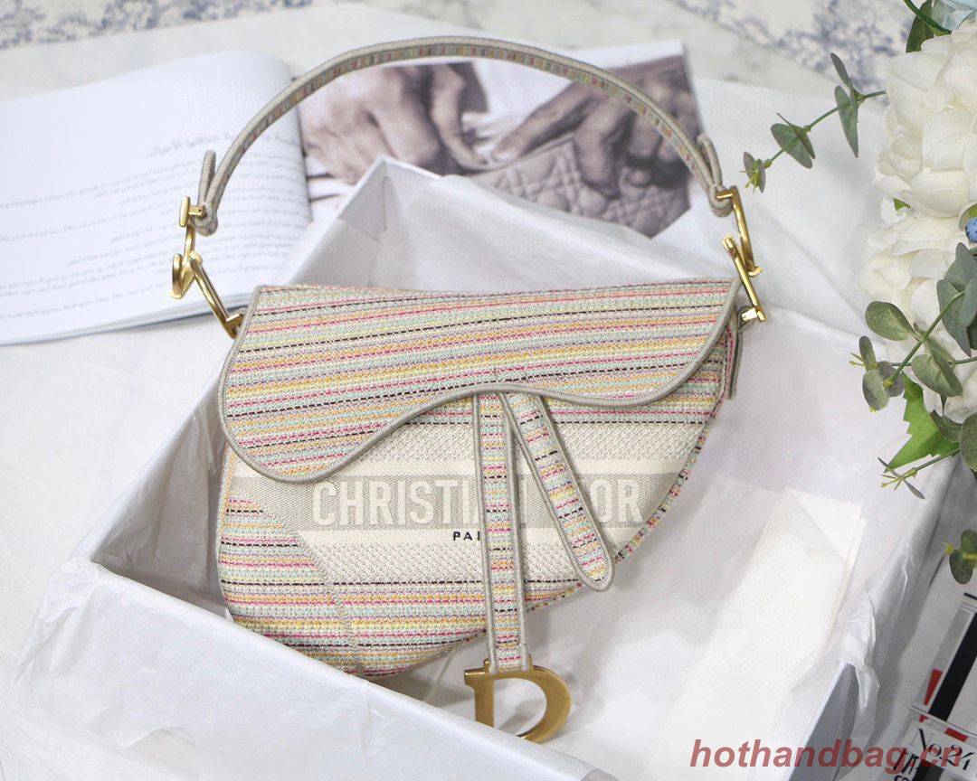 DIOR Embroidery Striped Color SADDLE BAG M0446C Beige