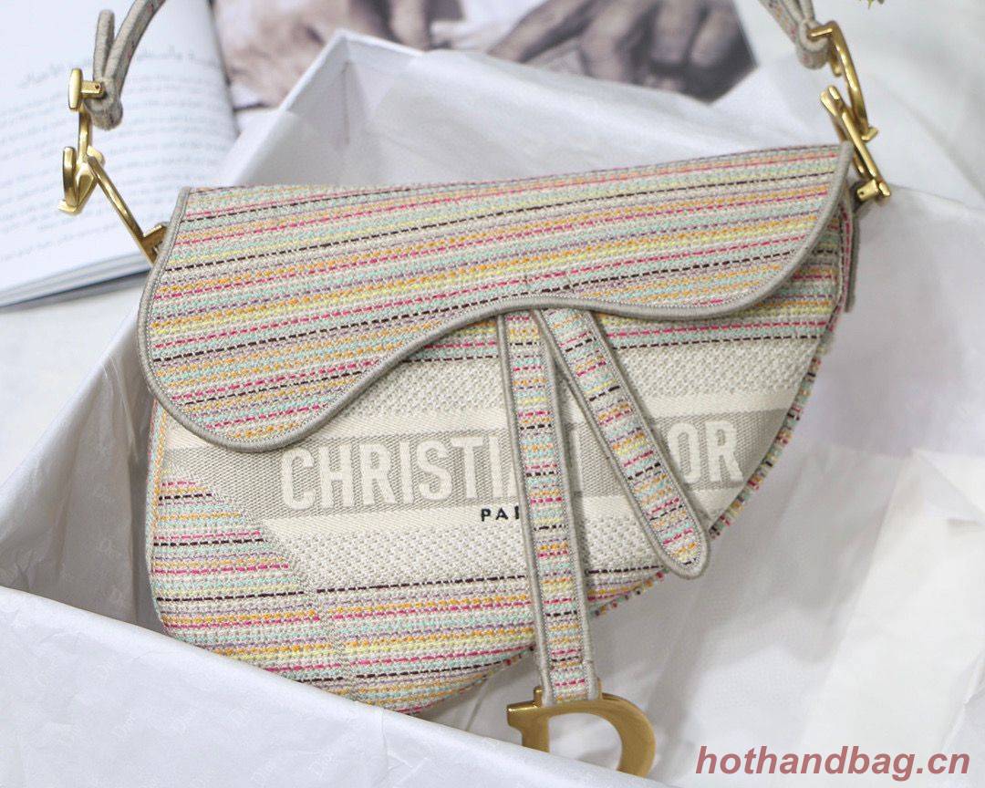 DIOR Embroidery Striped Color SADDLE BAG M0446C Beige