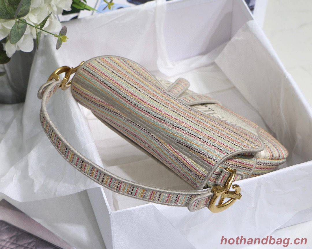 DIOR Embroidery Striped Color SADDLE BAG M0446C Beige