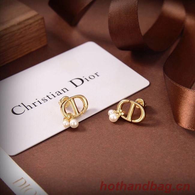 Dior Earrings CE6480