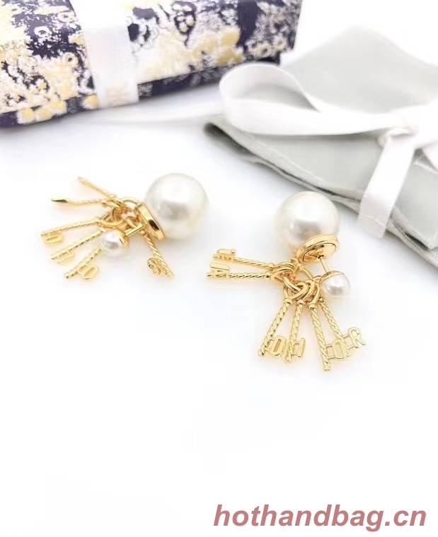 Dior Earrings CE6484