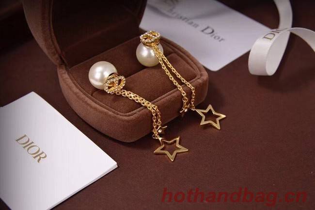 Dior Earrings CE6494