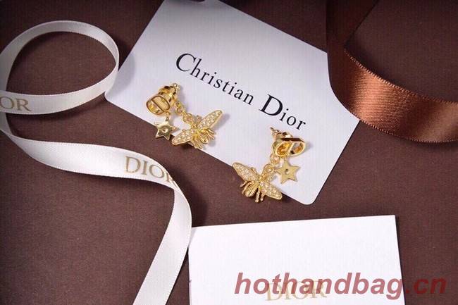 Dior Earrings CE6495