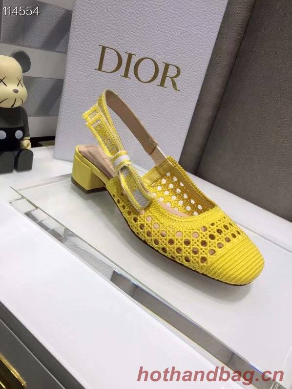 DIOR & MOI SLINGBACK PUMP Mesh Cannage Embroidery Dior777DJ-2