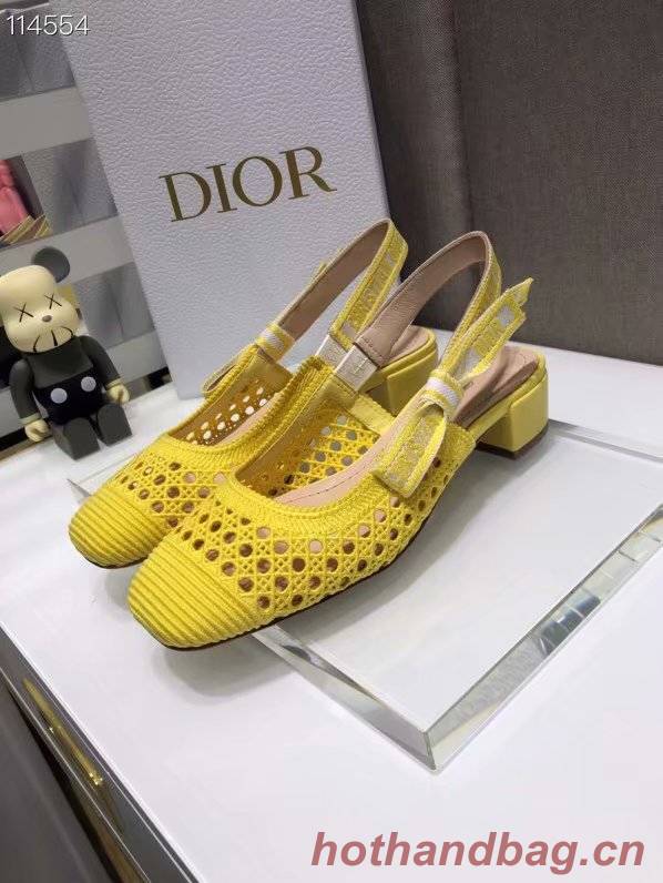 DIOR & MOI SLINGBACK PUMP Mesh Cannage Embroidery Dior777DJ-2