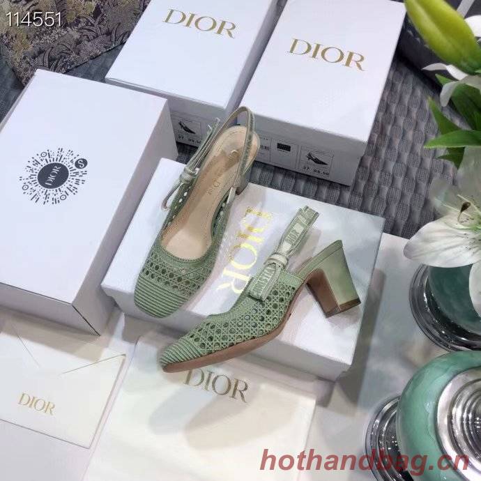 DIOR & MOI SLINGBACK PUMP Mesh Cannage Embroidery Dior777DJ-4