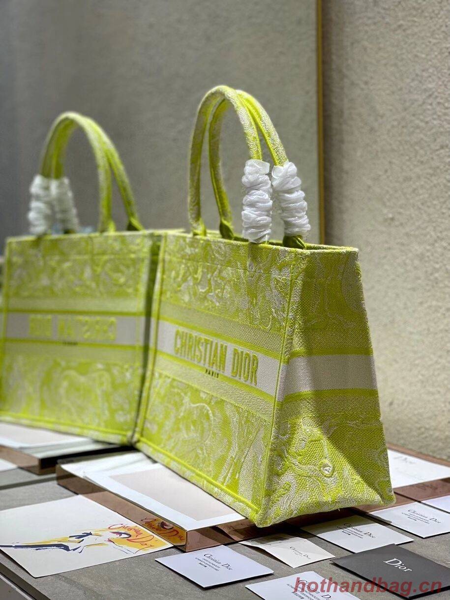 SMALL DIOR BOOK TOTE Lime Toile de Jouy Reverse Embroidery M1296ZR