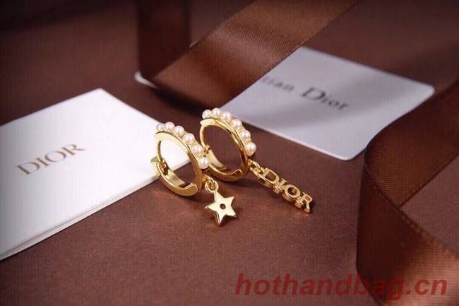 Dior Earrings CE6557