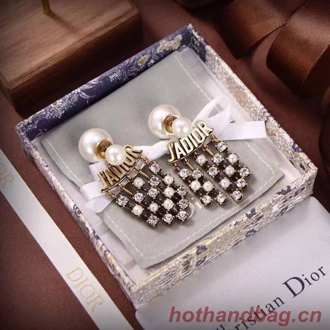 Dior Earrings CE6583