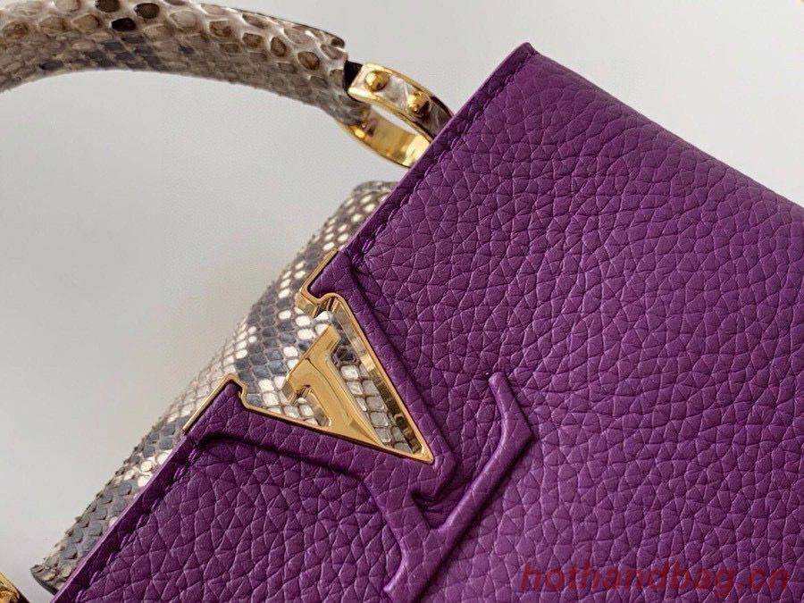 Louis Vuitton CAPUCINES Original Leather PM M96467 Purple