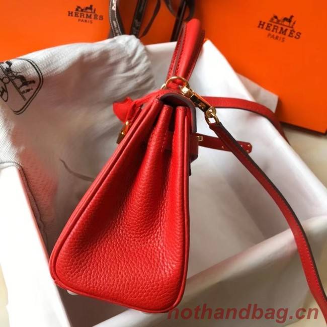 Hermes Birkin Togo Leather 22590 red