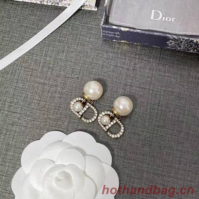 Dior Earrings CE6616