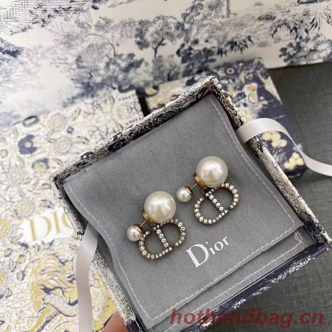 Dior Earrings CE6616