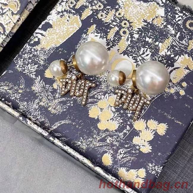 Dior Earrings CE6617