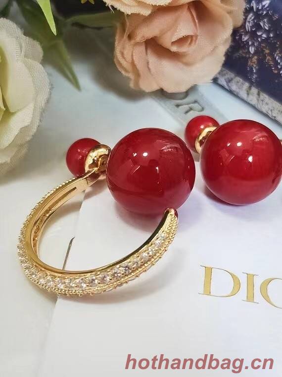 Dior Earrings CE6652