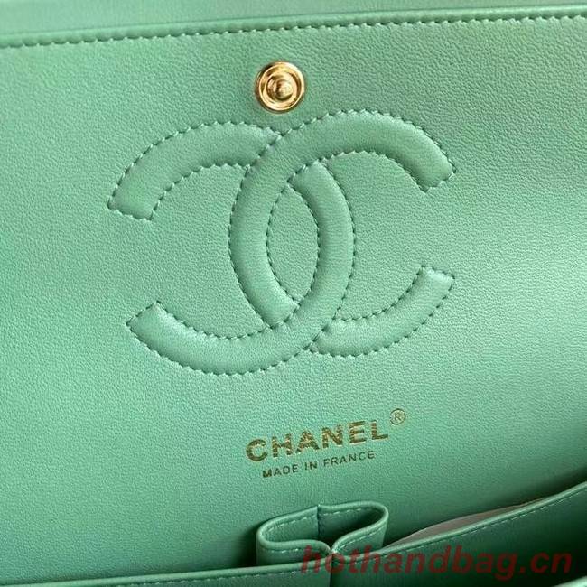 chanel classic handbag Lambskin & gold Metal A01112 light green