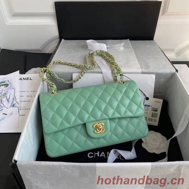 chanel classic handbag Lambskin & gold Metal A01112 light green