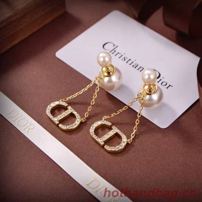 Dior Earrings CE6683