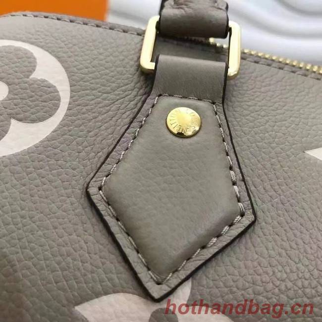 Louis Vuitton SPEEDY BANDOULIERE 25 M58947 grey