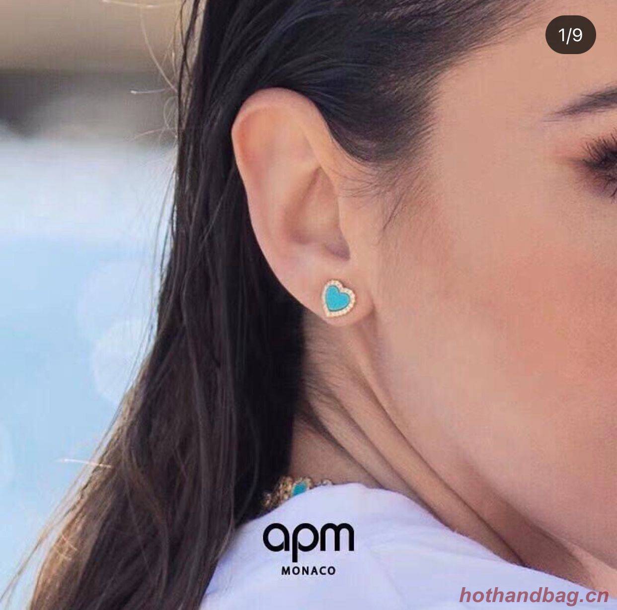 APM Earrings A6988