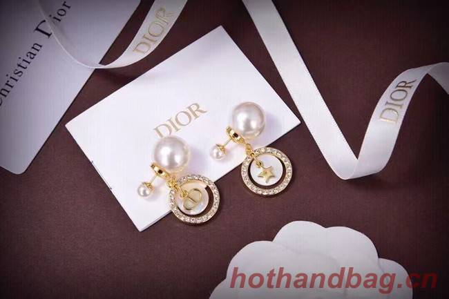 Dior Earrings CE6738