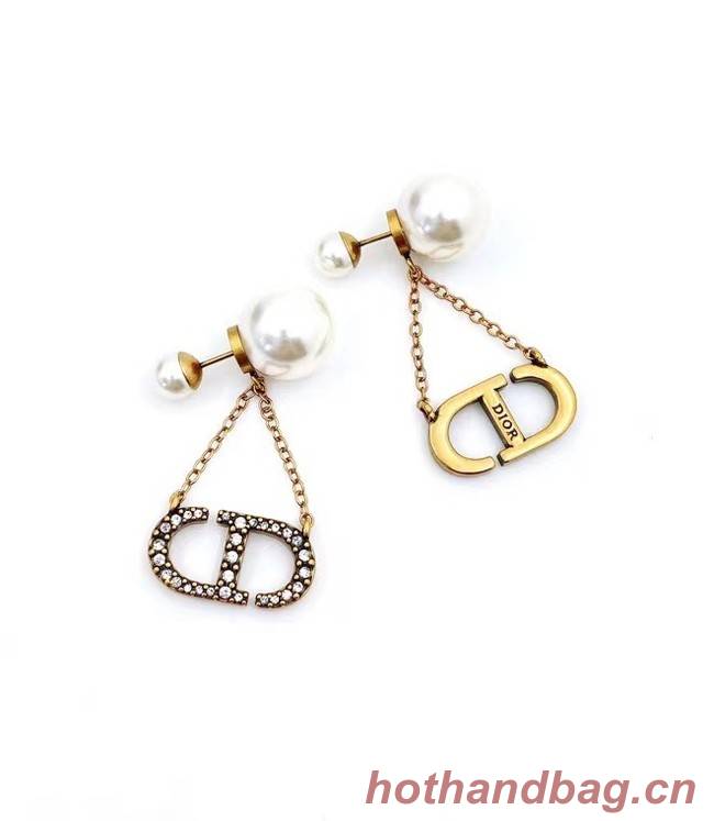 Dior Earrings CE6744