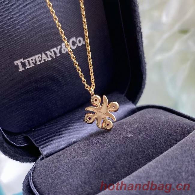 TIFFANY Necklace CE6764